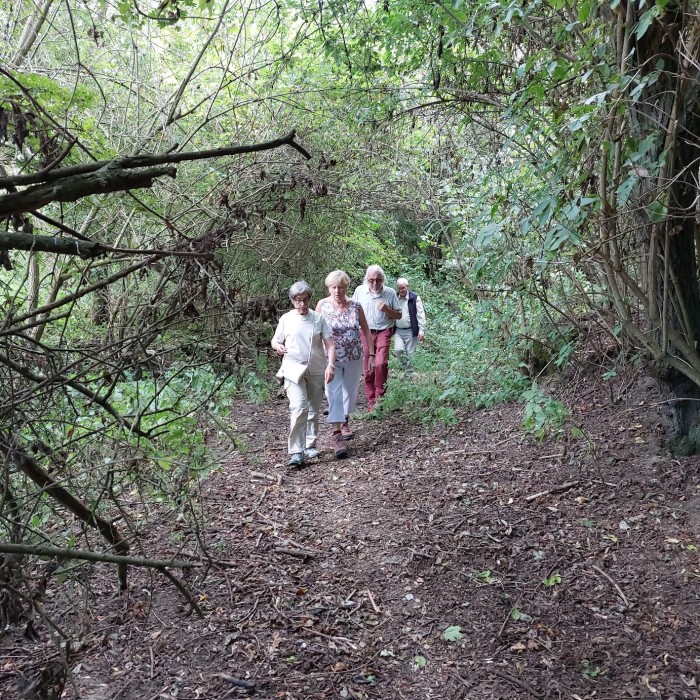 2024-08-15 DF Asper wandeltocht 4